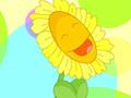 为什么向日葵花总是朝着太阳
