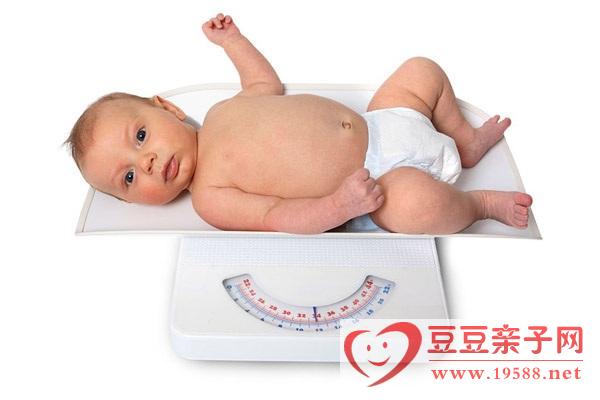 新出生宝宝体重在6斤左右智力最好