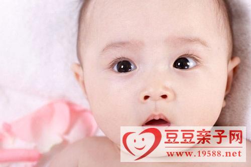 新生儿智力发育：多和宝宝亲密接触开发小宝宝的智力