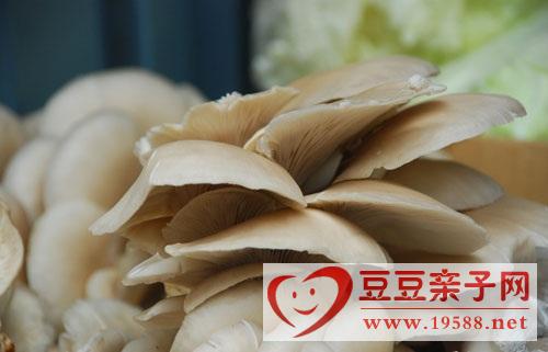 产后吃蘑菇能预防产后发胖，产后滋补饮食