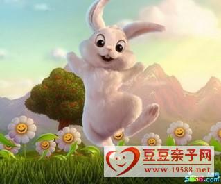 小白兔的朋友-幼儿故事大全文字版